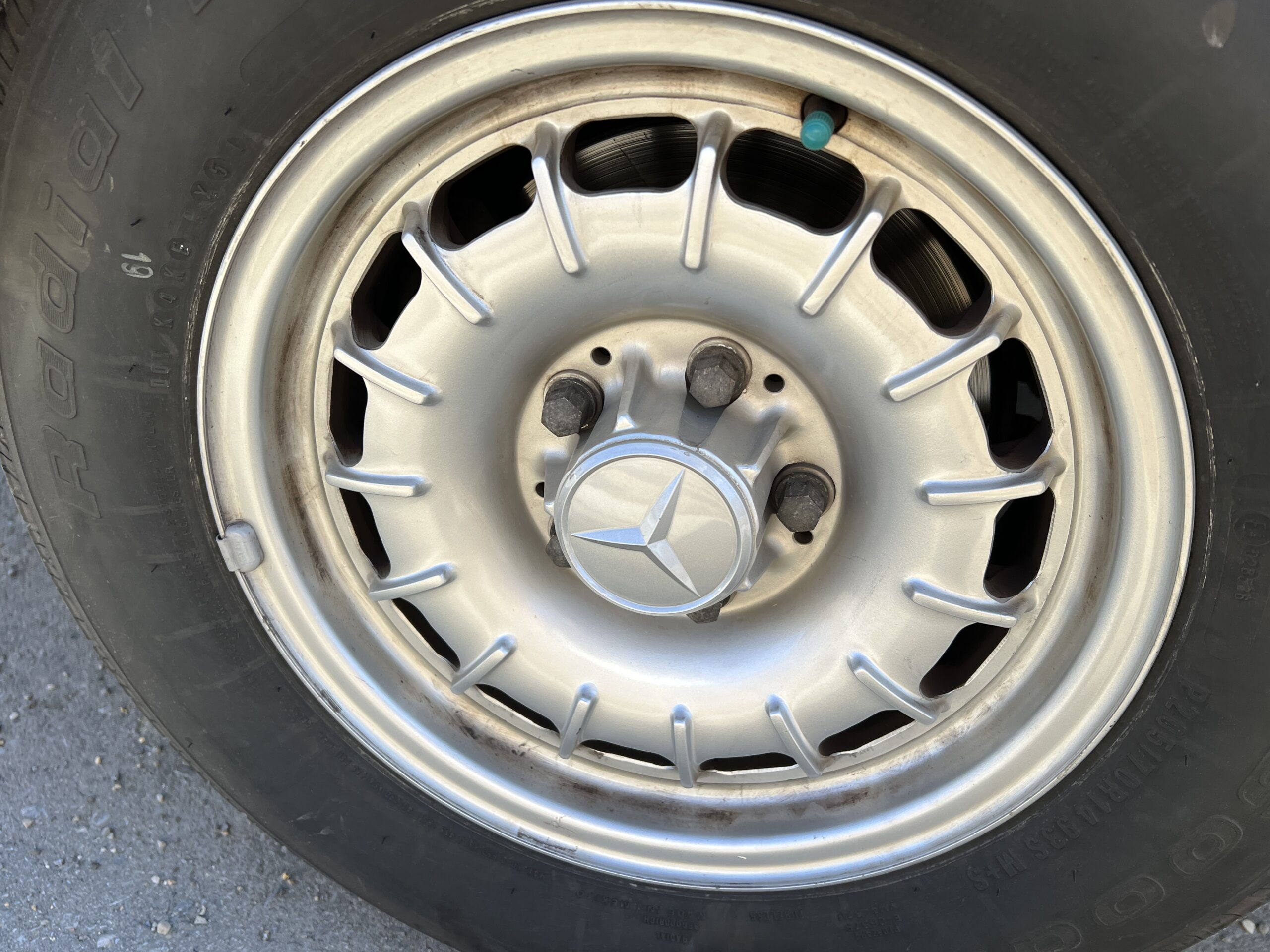 Photo 2024-03-18, 12 31 49 PM